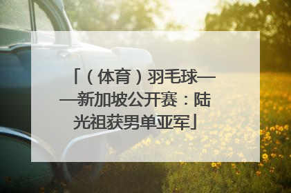 （体育）羽毛球——新加坡公开赛：陆光祖获男单亚军