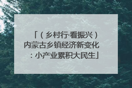 （乡村行·看振兴）内蒙古乡镇经济新变化：小产业累积大民生