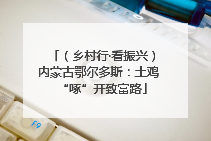 （乡村行·看振兴）内蒙古鄂尔多斯：土鸡“啄”开致富路