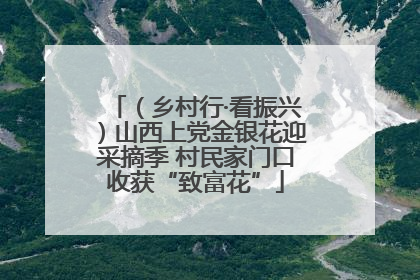 （乡村行·看振兴）山西上党金银花迎采摘季 村民家门口收获“致富花”