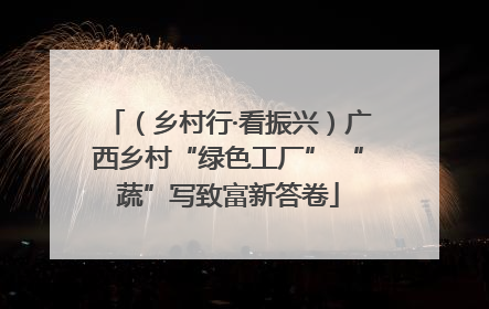 （乡村行·看振兴）广西乡村“绿色工厂” “蔬”写致富新答卷