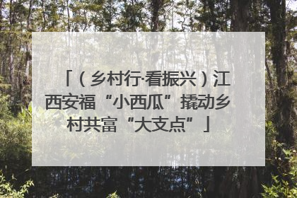 （乡村行·看振兴）江西安福“小西瓜”撬动乡村共富“大支点”