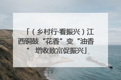 （乡村行·看振兴）江西铜鼓“花香”变“油香” 增收致富促振兴