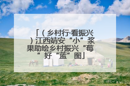 （乡村行·看振兴）江西靖安“小”浆果助绘乡村振兴“莓”好“蓝”图