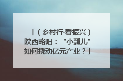 （乡村行·看振兴）陕西略阳：“小瓢儿”如何撬动亿元产业？