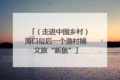 （走进中国乡村）海口最后一个渔村捕文旅“新鱼”