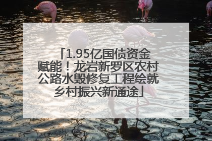 1.95亿国债资金赋能！龙岩新罗区农村公路水毁修复工程绘就乡村振兴新通途