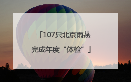 107只北京雨燕完成年度“体检”