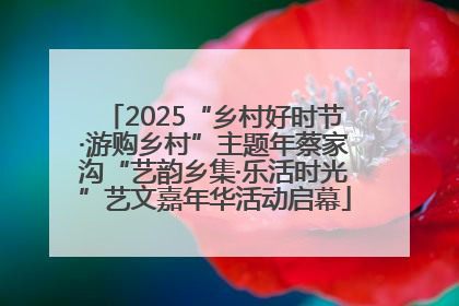 2025“乡村好时节·游购乡村”主题年蔡家沟“艺韵乡集·乐活时光”艺文嘉年华活动启幕