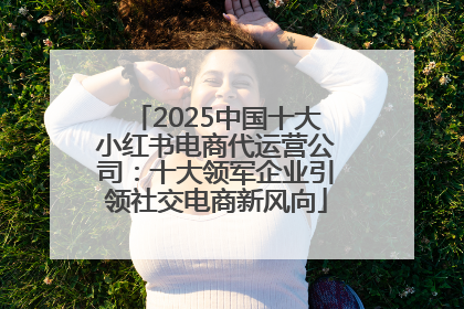 2025中国十大小红书电商代运营公司：十大领军企业引领社交电商新风向