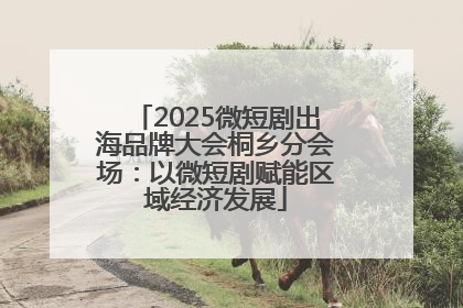 2025微短剧出海品牌大会桐乡分会场：以微短剧赋能区域经济发展