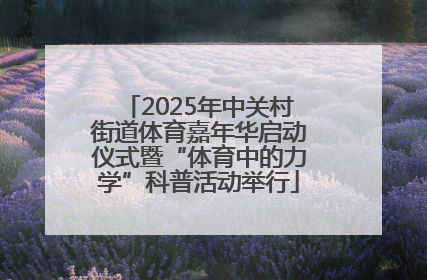 2025年中关村街道体育嘉年华启动仪式暨“体育中的力学”科普活动举行