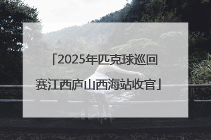 2025年匹克球巡回赛江西庐山西海站收官