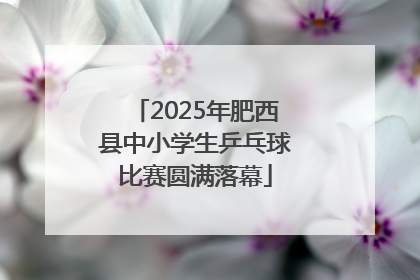 2025年肥西县中小学生乒乓球比赛圆满落幕