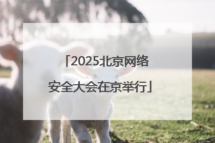 2025北京网络安全大会在京举行