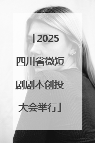 2025四川省微短剧剧本创投大会举行