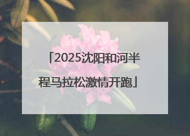 2025沈阳和河半程马拉松激情开跑
