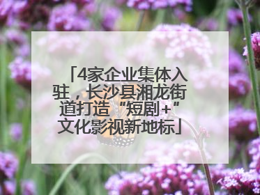 4家企业集体入驻，长沙县湘龙街道打造“短剧+”文化影视新地标