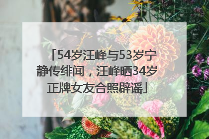 54岁汪峰与53岁宁静传绯闻，汪峰晒34岁正牌女友合照辟谣
