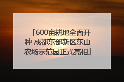 600亩耕地全面开种 成都东部新区东山农场示范园正式亮相