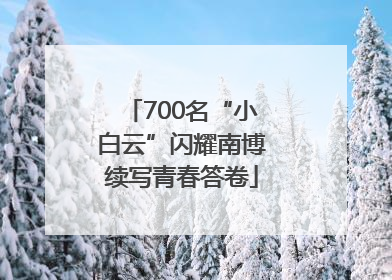 700名“小白云”闪耀南博续写青春答卷