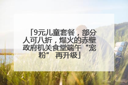 9元儿童套餐，部分人可八折，爆火的赤壁政府机关食堂端午“宠粉” 再升级