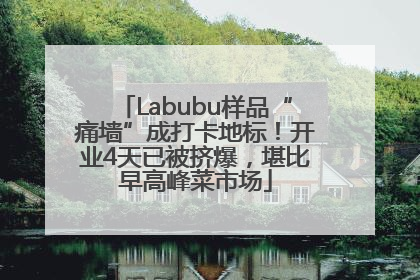 Labubu样品“痛墙”成打卡地标！开业4天已被挤爆，堪比早高峰菜市场