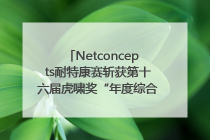 Netconcepts耐特康赛斩获第十六届虎啸奖“年度综合服务商”大奖