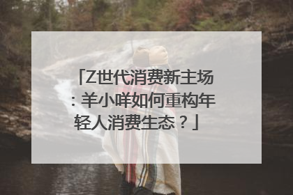 Z世代消费新主场：羊小咩如何重构年轻人消费生态？